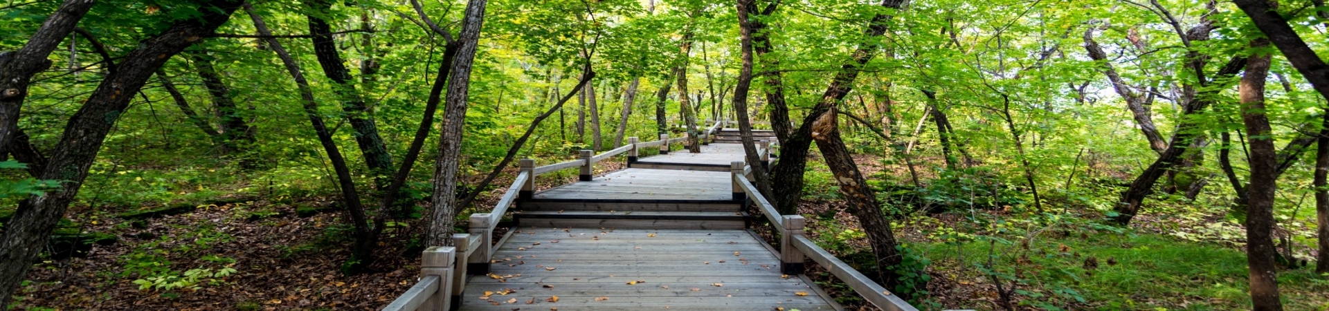 Top China Guide banner