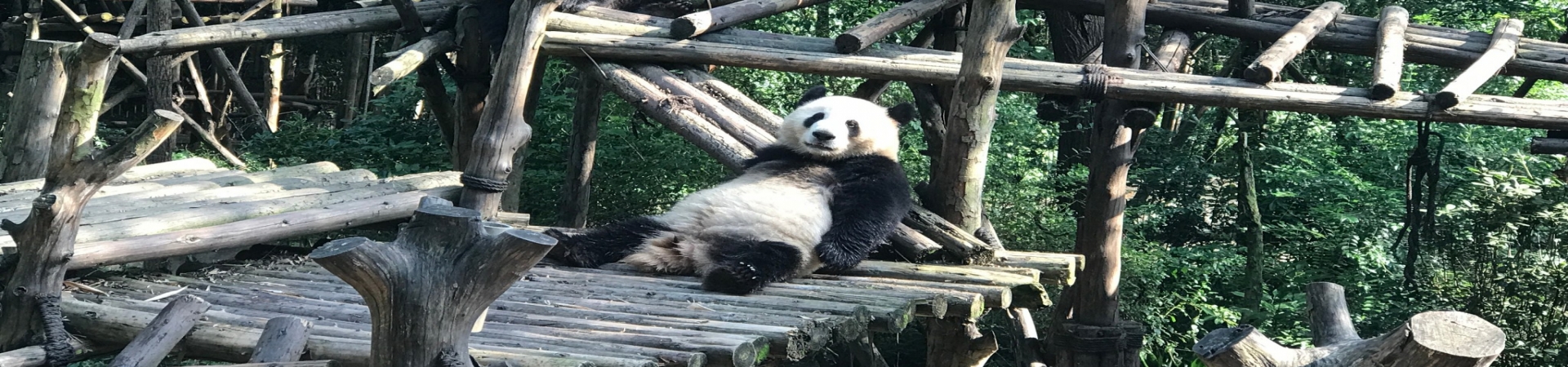 Top China Guide banner