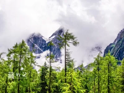 Bipenggou Scenic Area