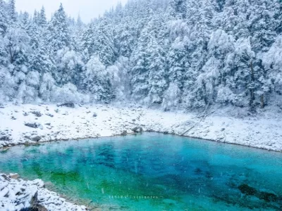 Colorful Pond