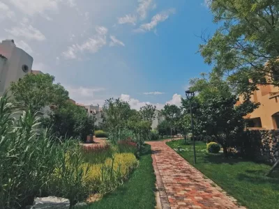 Anaya