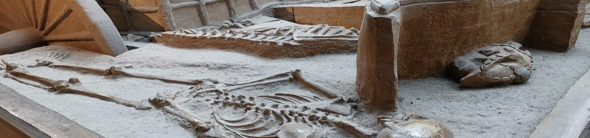 Top China Guide banner