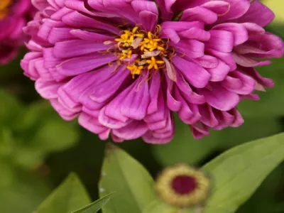 Linzi Museum of Chinese Ancient Cars