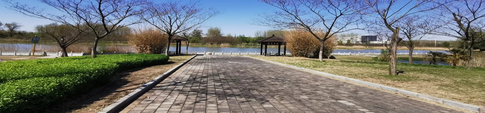 Top China Guide banner