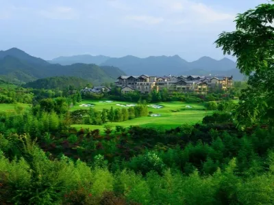 Anji China Bamboo Sea