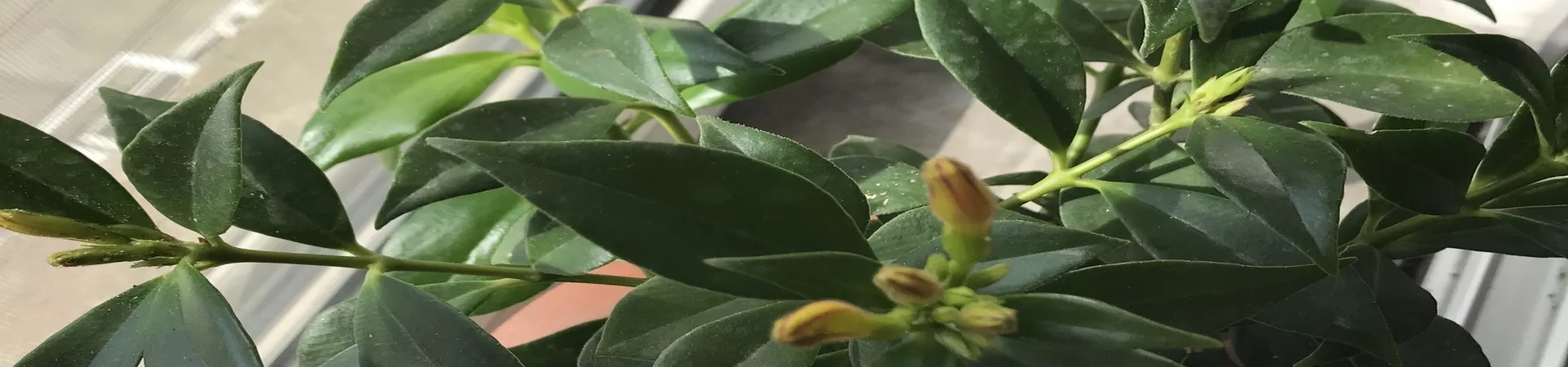 Top China Guide banner