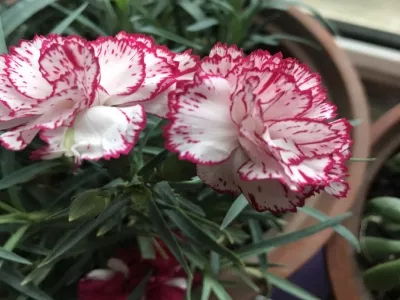 Aohua Island Original Ecological Tourism Resort