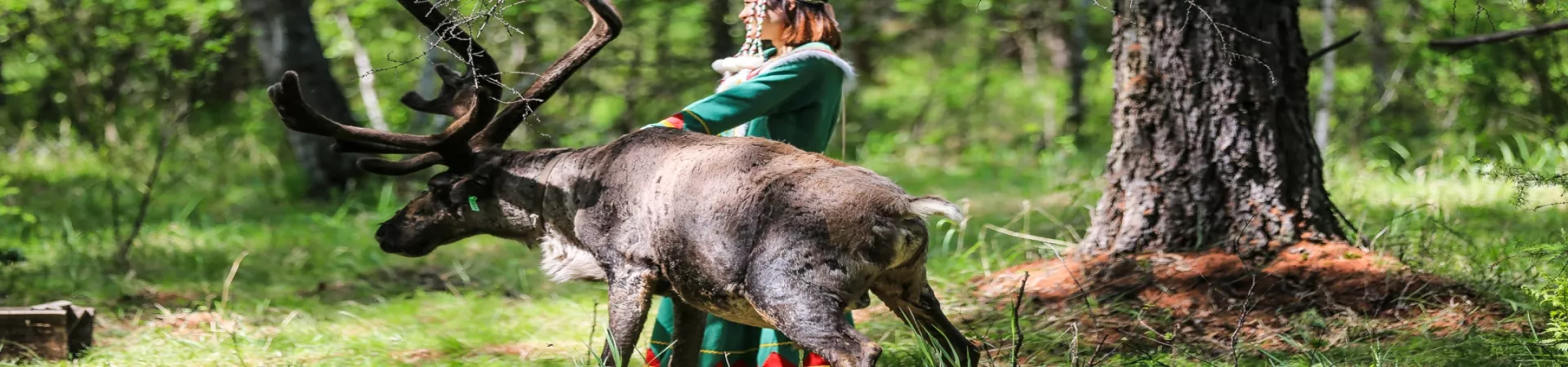 Top China Guide banner