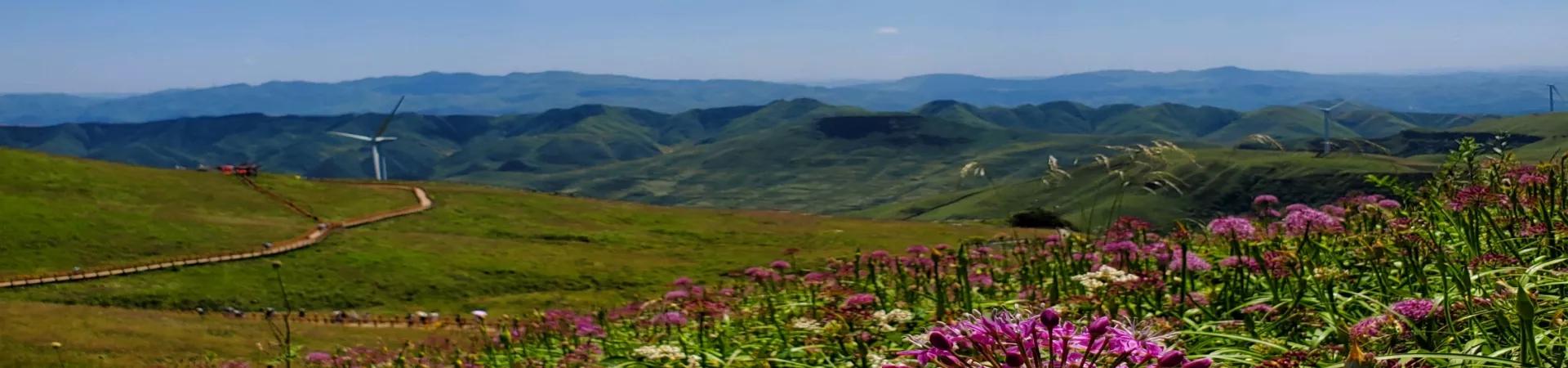 Top China Guide banner