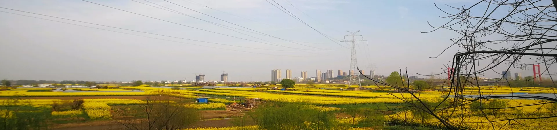 Top China Guide banner