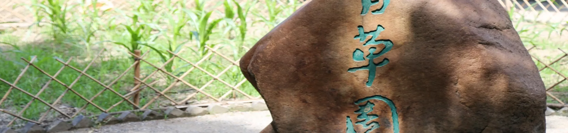 Top China Guide banner