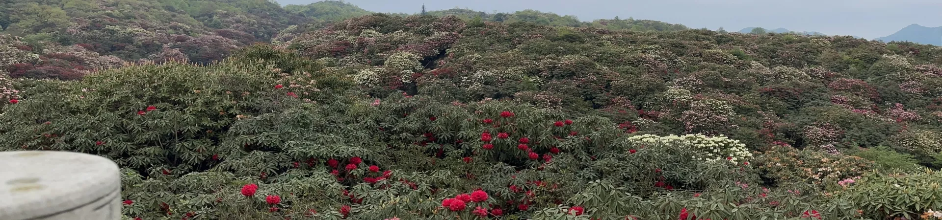 Top China Guide banner