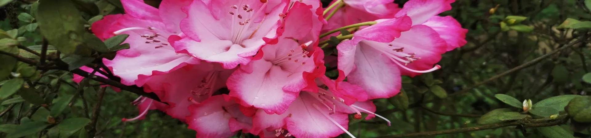 Top China Guide banner