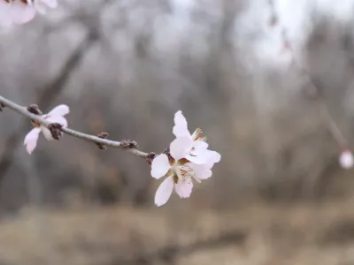 Baiquanshan Ecological Park