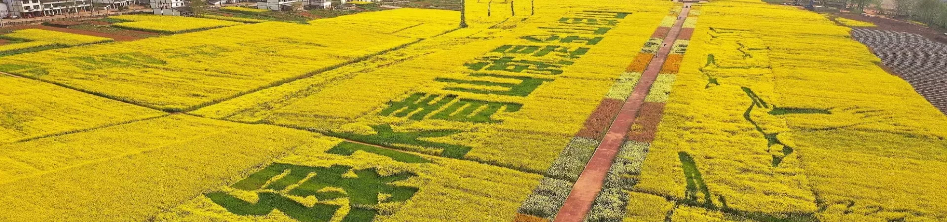Top China Guide banner