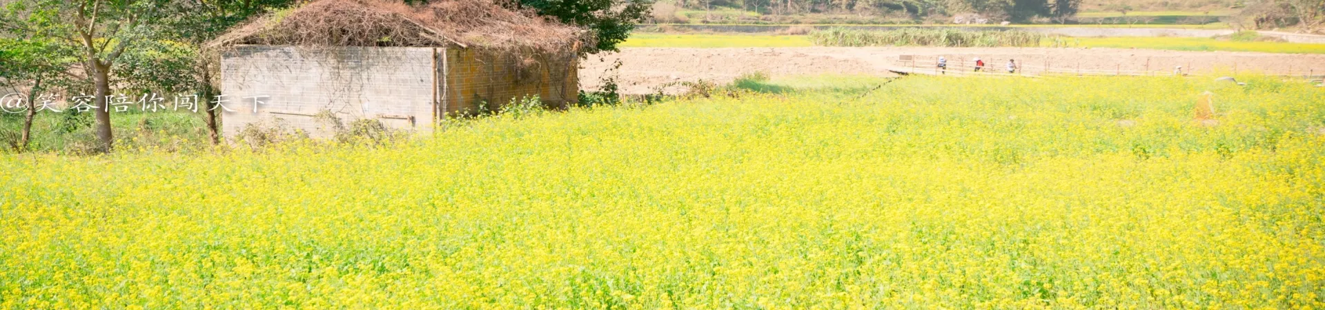 Top China Guide banner