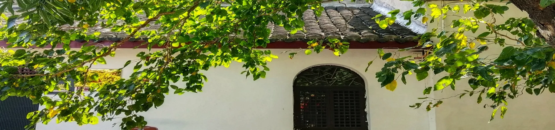 Top China Guide banner