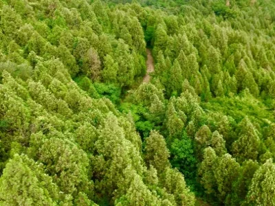 Baodugu National Forest Park