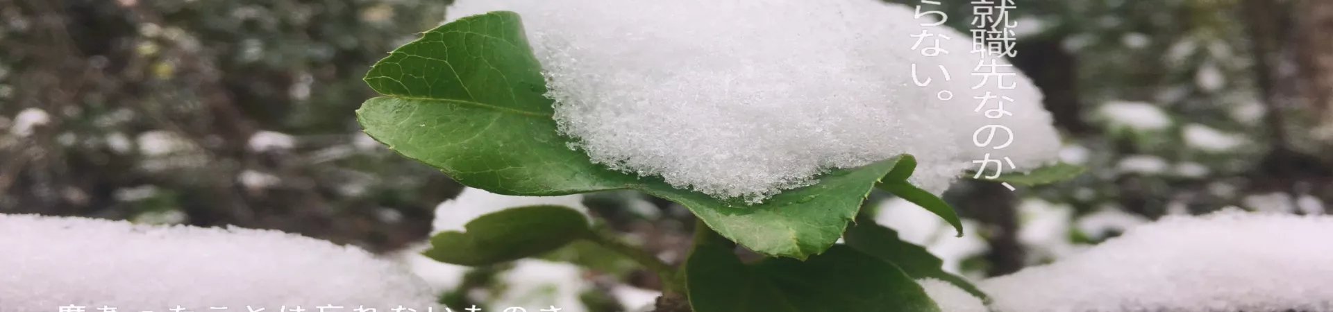 Top China Guide banner