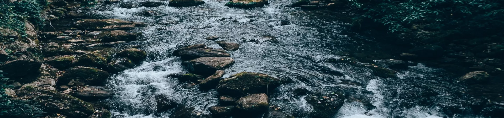 Top China Guide banner