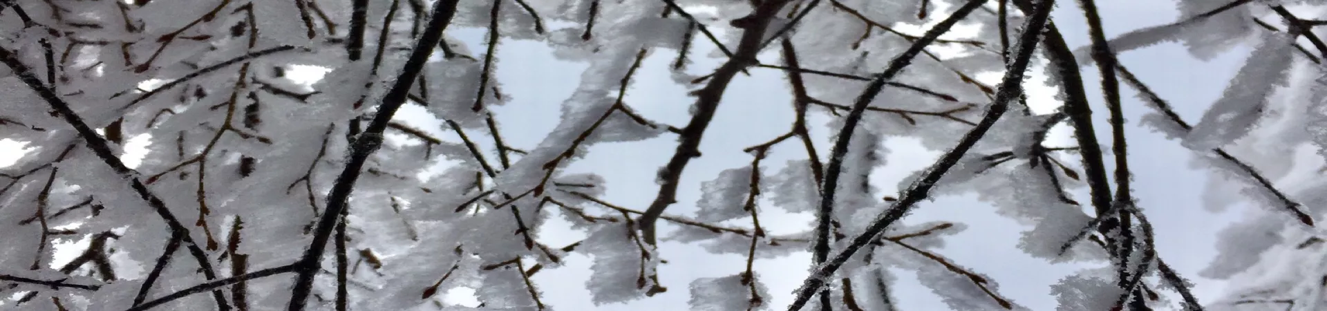 Top China Guide banner