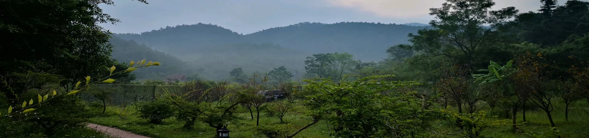 Top China Guide banner