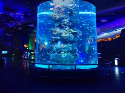 Macrolink Beluga Ocean Park