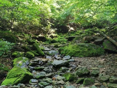 Benxi Tanggou Green Stone Valley National Forest Park