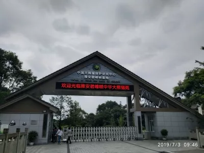 China Protect Daxiongmao Research Center Ya'an Bifeng Valley Base