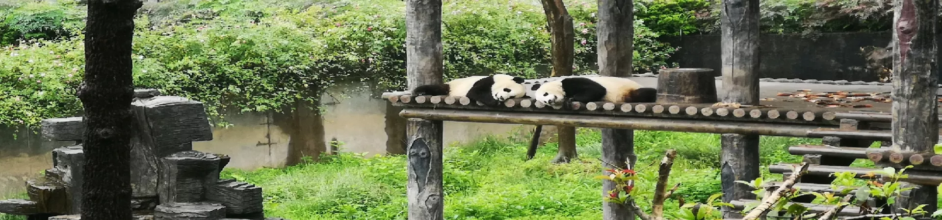 Top China Guide banner