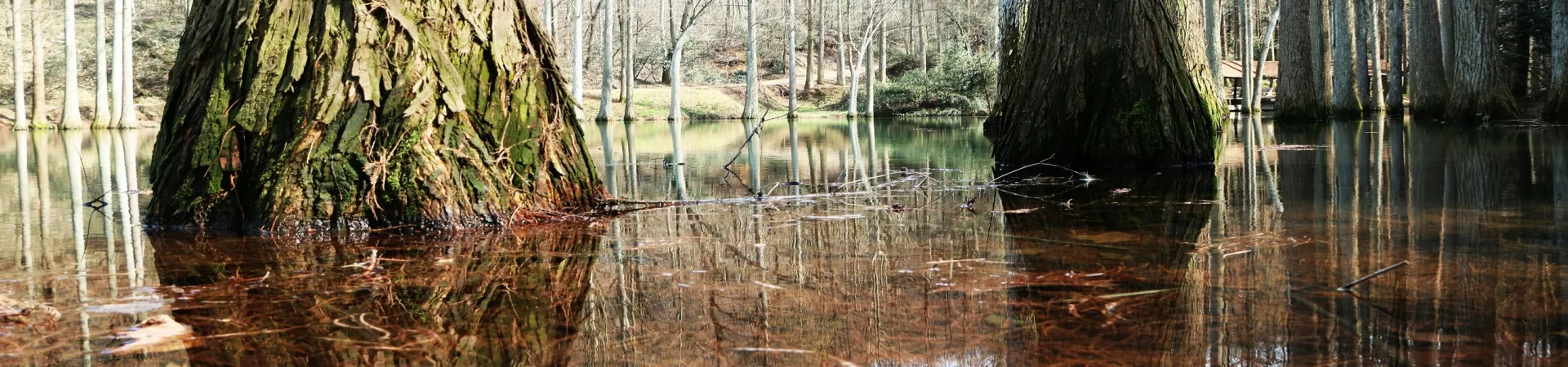 Top China Guide banner