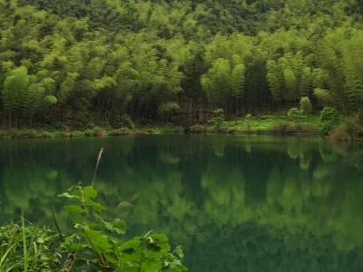 Bowang Mountain