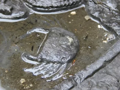 Boyue Cave Scenic Area