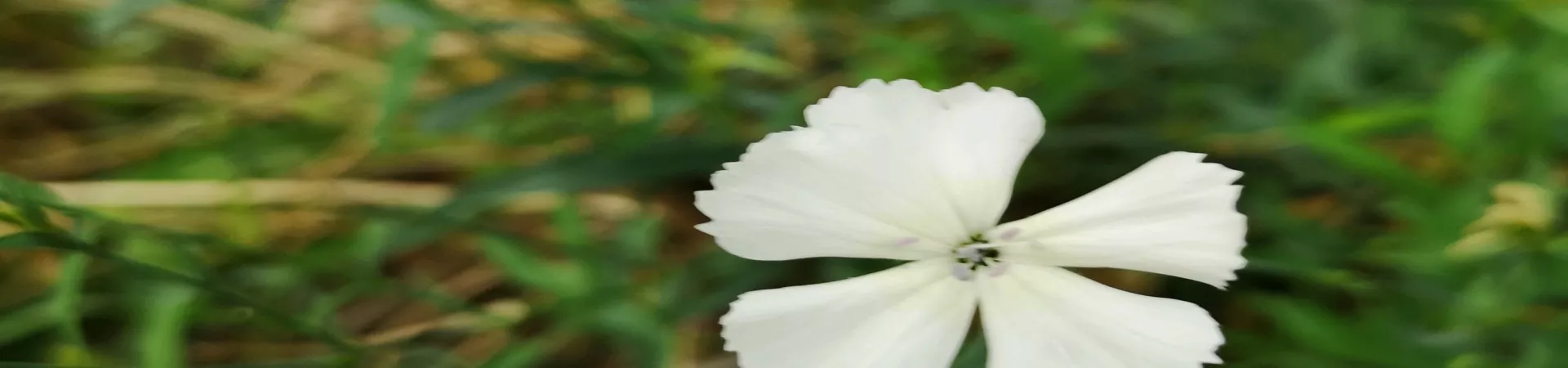 Top China Guide banner