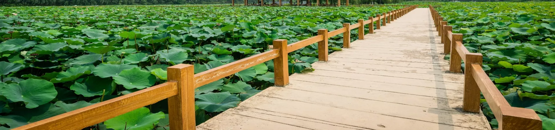 Top China Guide banner