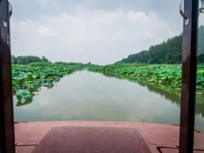 Canal Wetland Park