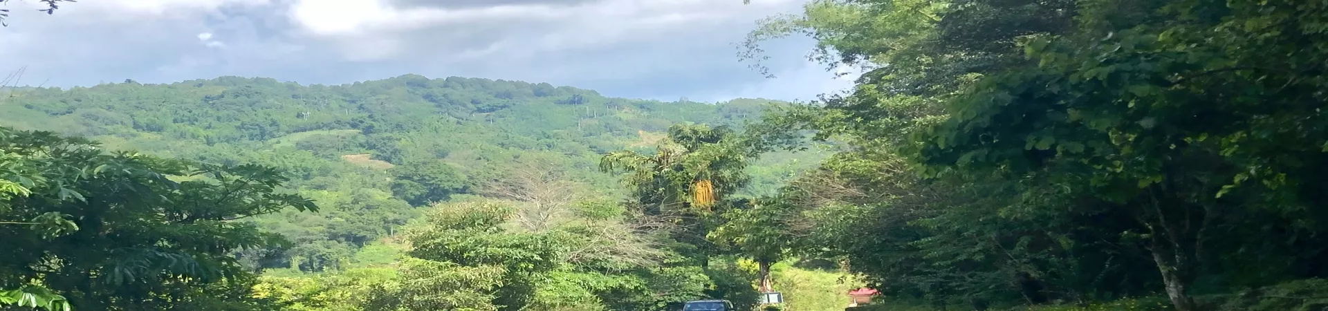 Top China Guide banner