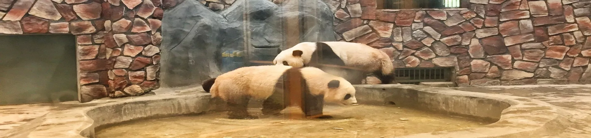 Top China Guide banner