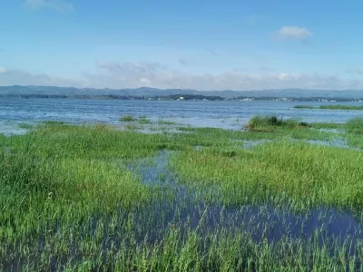 Caohai Nature Reserve