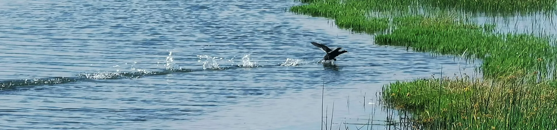 Top China Guide banner