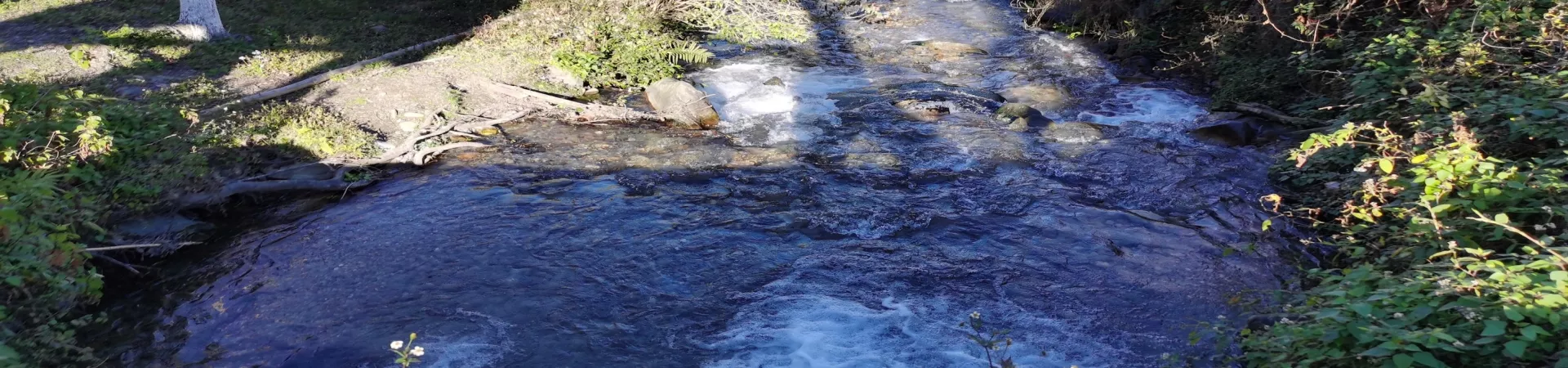 Top China Guide banner