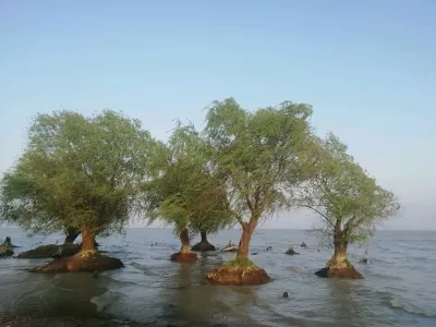 Chaohu Lake
