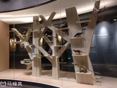 Chaoyang Bird Fossil National Geopark
