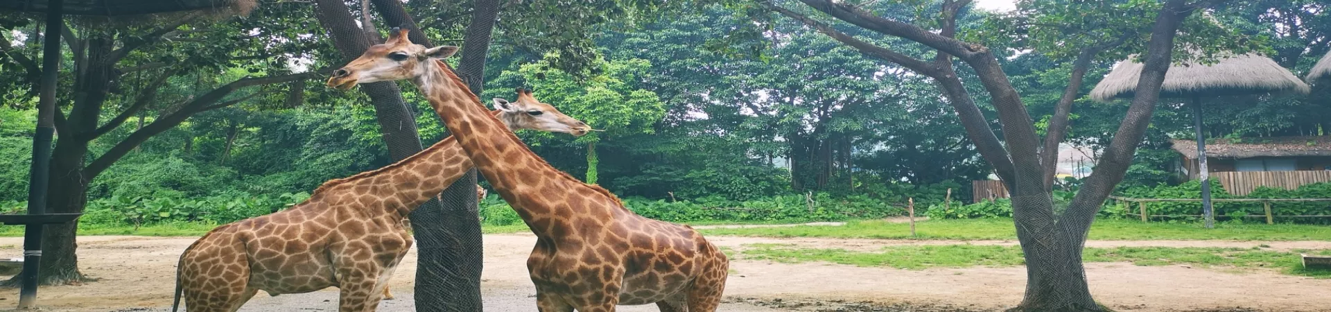 Top China Guide banner