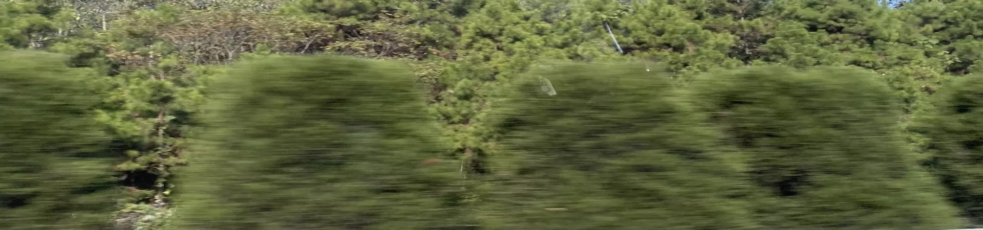 Top China Guide banner