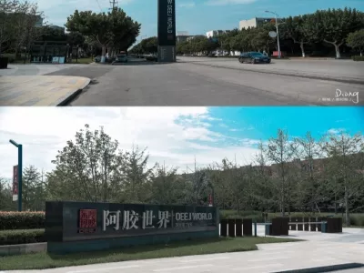 China ass hide glue museum