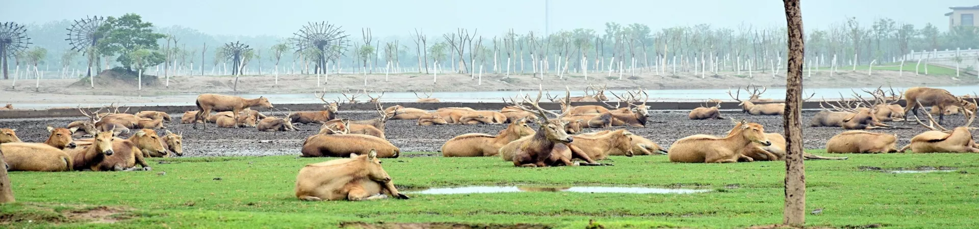 Top China Guide banner