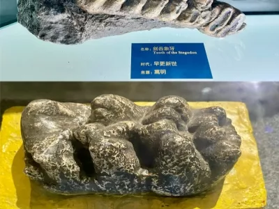 Chuxiong Prefecture Museum