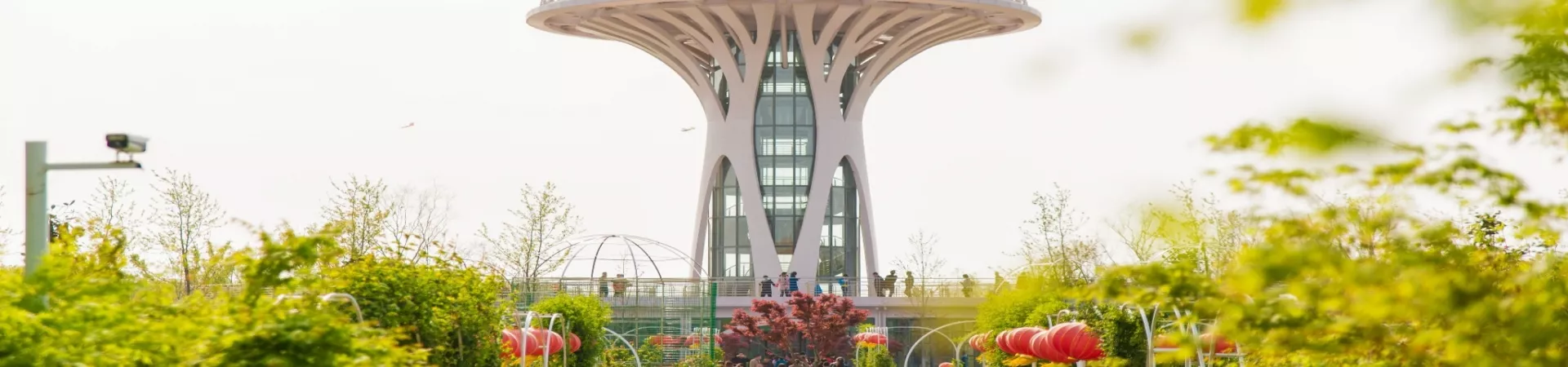 Top China Guide banner