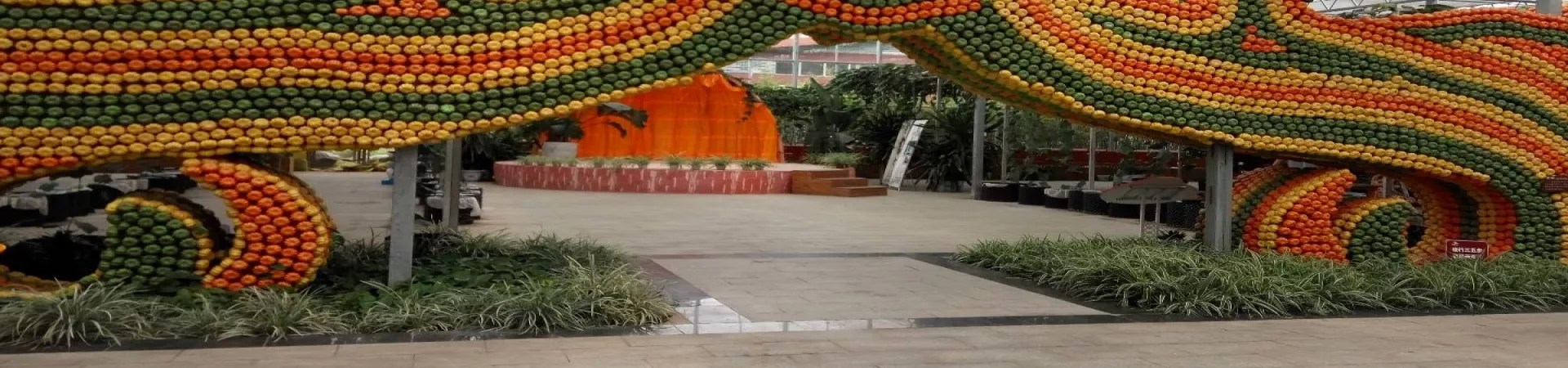 Top China Guide banner